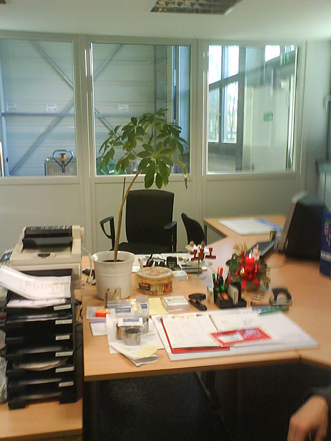 Eingerichtet